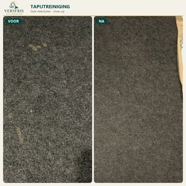 Donker vast tapijt met gele vlekken voor en na professionele tapijtreiniging