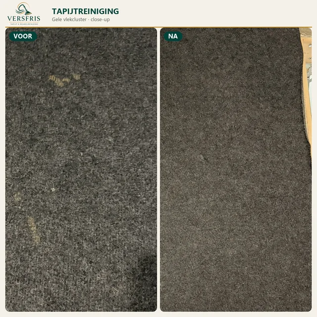 Donker vast tapijt met gele vlekken voor en na professionele tapijtreiniging